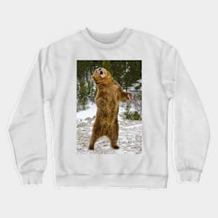 Grizzly Standing Crewneck Sweatshirt